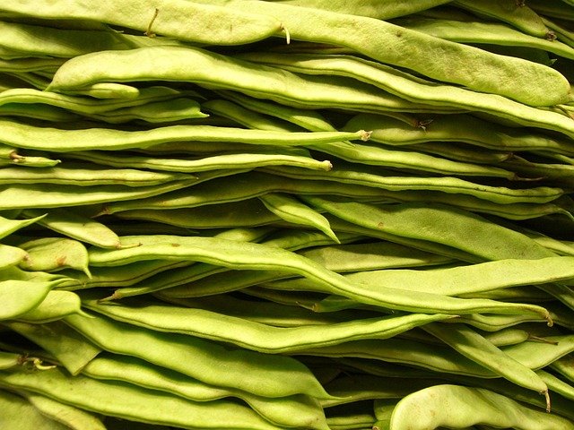 Tabela de composição nutricional dos legumes